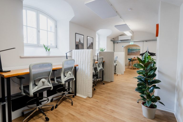 Moderner Arbeitsbereich im Coworking Space bei Dresden Heller Büroraum mit Schreibtischen, Pflanzen und Trennwänden.
