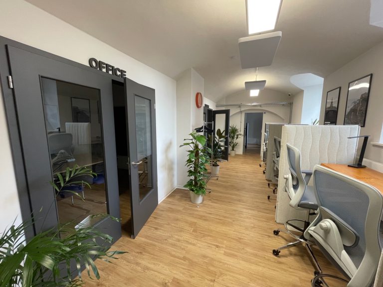 Heller und Grüner Eingangsbereich bei Hub & Spoke Radebeul Heller Büroraum mit Pflanzen, Tischen und Trennwänden zwischen Arbeitsplätzen.