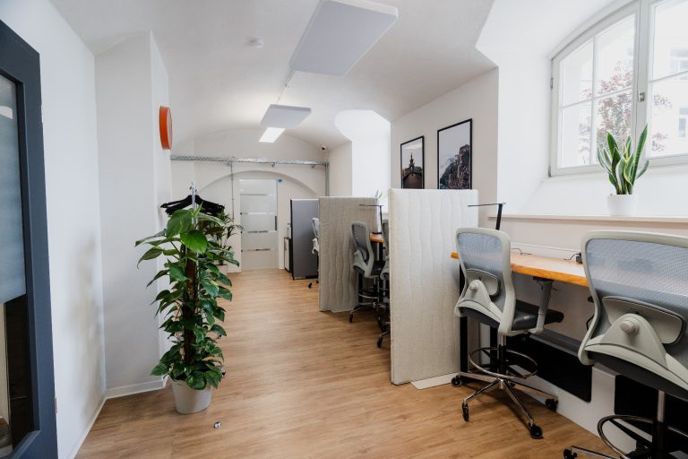 2er Arbeitsplätze bei Hub & Spoke Coworking in Radebeul Moderne Büroeinrichtung mit Arbeitsplätzen und Pflanzen in heller Umgebung.